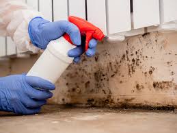 Best Crawl Space Mold Remediation  in Nome, AK